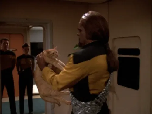Worf holding Data's cat very awkwardly as he leaves the room