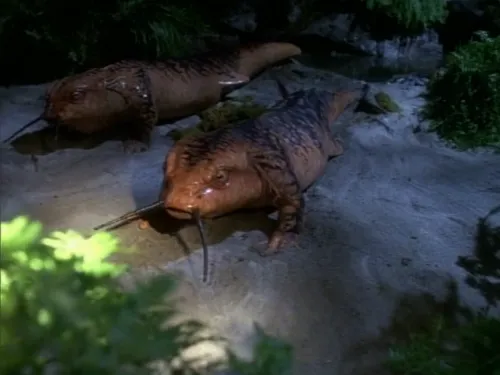 Two large salamander-like creatures on a sandy dune