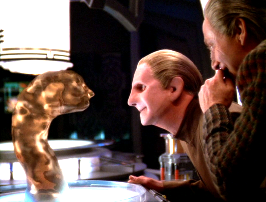 Odo and Dr. Mora looking at an infant changeling in its liquid state attempting to form a face