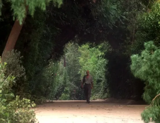 Picard in casual clothing walking on a path through dense green foliage