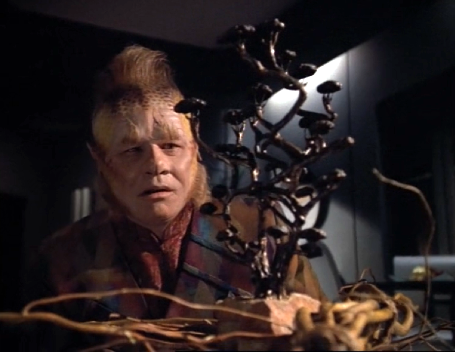 Neelix looking at a small model of the 'guiding tree'