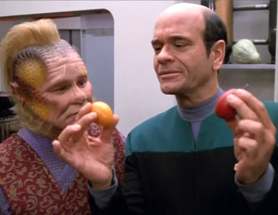 The Doctor speaking with Neelix in the mess hall as he holds up two fruits, one yellow and one red