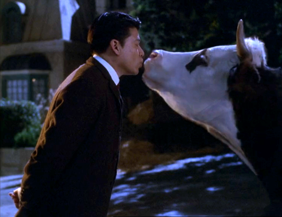 Harry Kim wearing a suit with his eyes closed, leaning forward and unknowingly about to kiss a cow