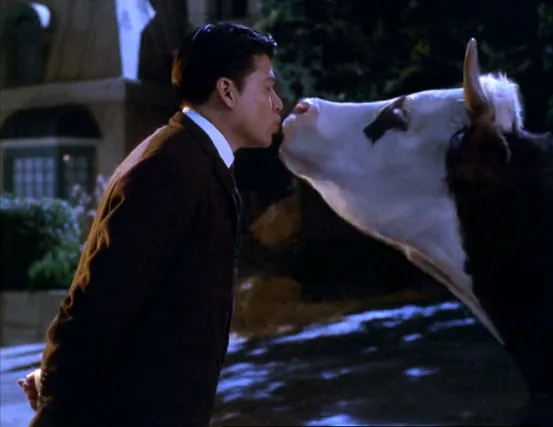 Harry Kim wearing a suit with his eyes closed, leaning forward and unknowingly about to kiss a cow